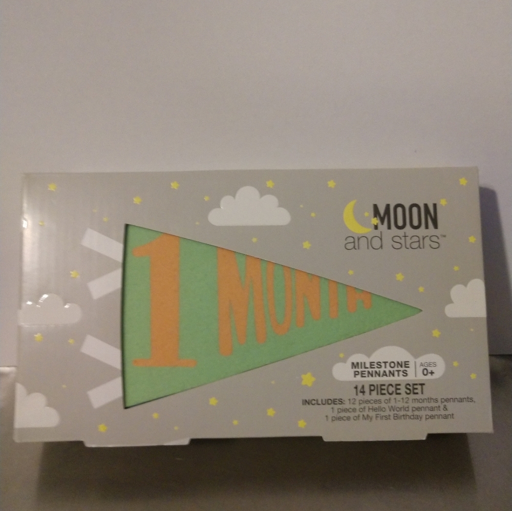 Milestone Pennants 14 piece set